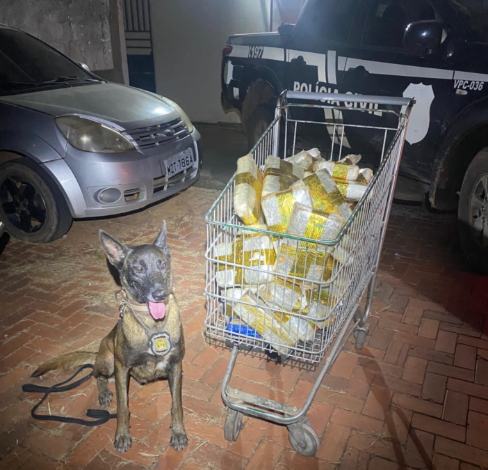 Polícia Civil apreende mais de 50 quilos de drogas em operação em Rio Branco
