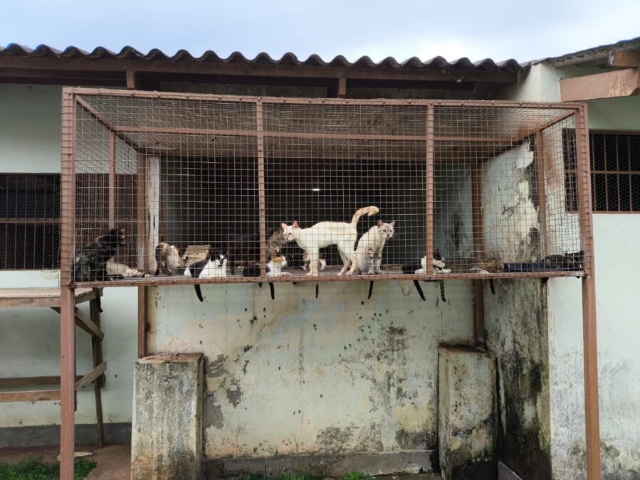 MPAC ajuíza ação para reestruturação do Centro de Controle de Zoonoses em Rio Branco