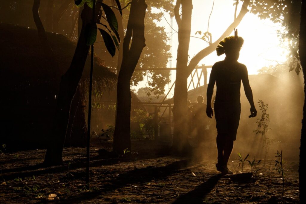 em-10-anos,-119-indigenas-morreram-por-ists