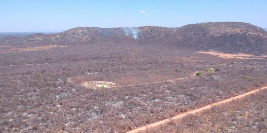 nove-estados-registraram-mais-de-41-mil-crimes-ambientais-em-dois-anos