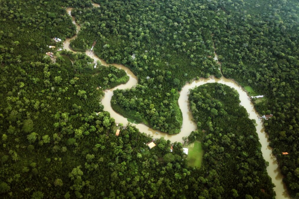 COP30: com redução de 55% no desmatamento, Pará leva resultado inédito