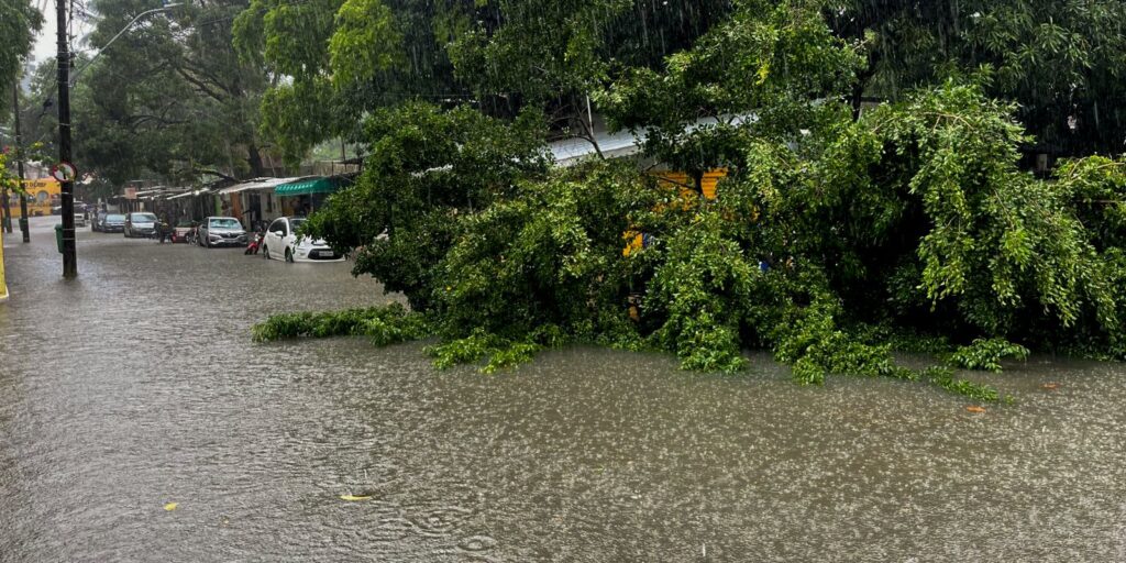 defesa-civil-alerta-e-lancado-no-nordeste-para-notificar-riscos