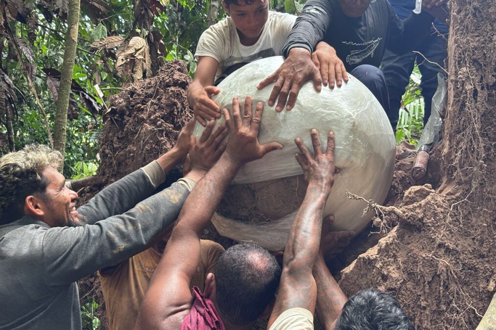 “Mortos ficavam embaixo das árvores”, dizem arqueólogos da Amazônia