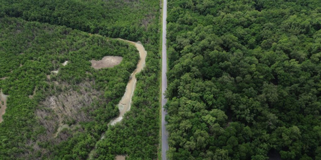 construcao-de-estradas-impacta-mangue-amazonico