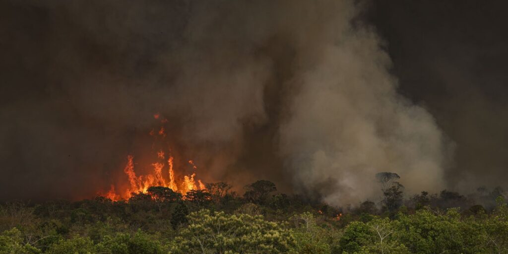 queimadas-atingiram-30-milhoes-de-hectares-no-pais-em-2024
