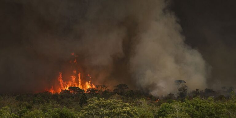 queimadas-atingiram-30-milhoes-de-hectares-no-pais-em-2024