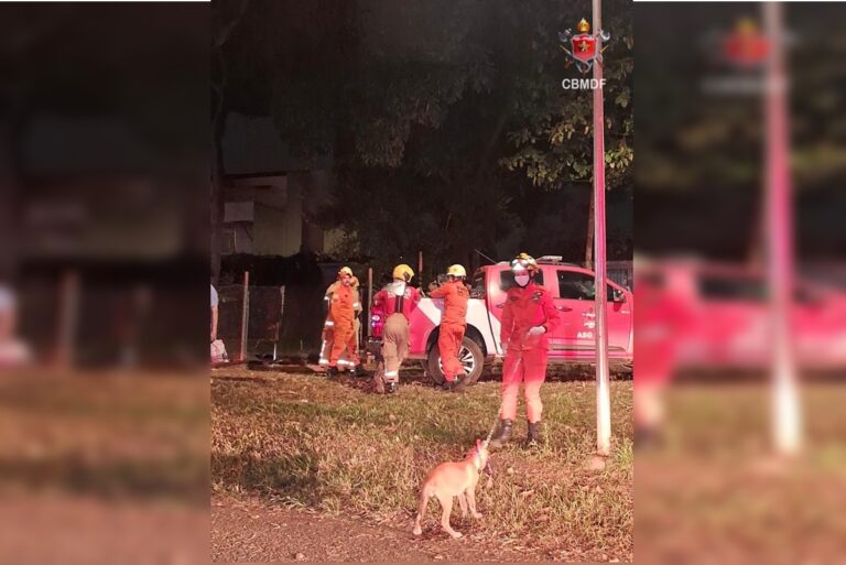 bombeiros-resgatam-dois-caes-e-um-gato-de-casa-incendiada-no-guara