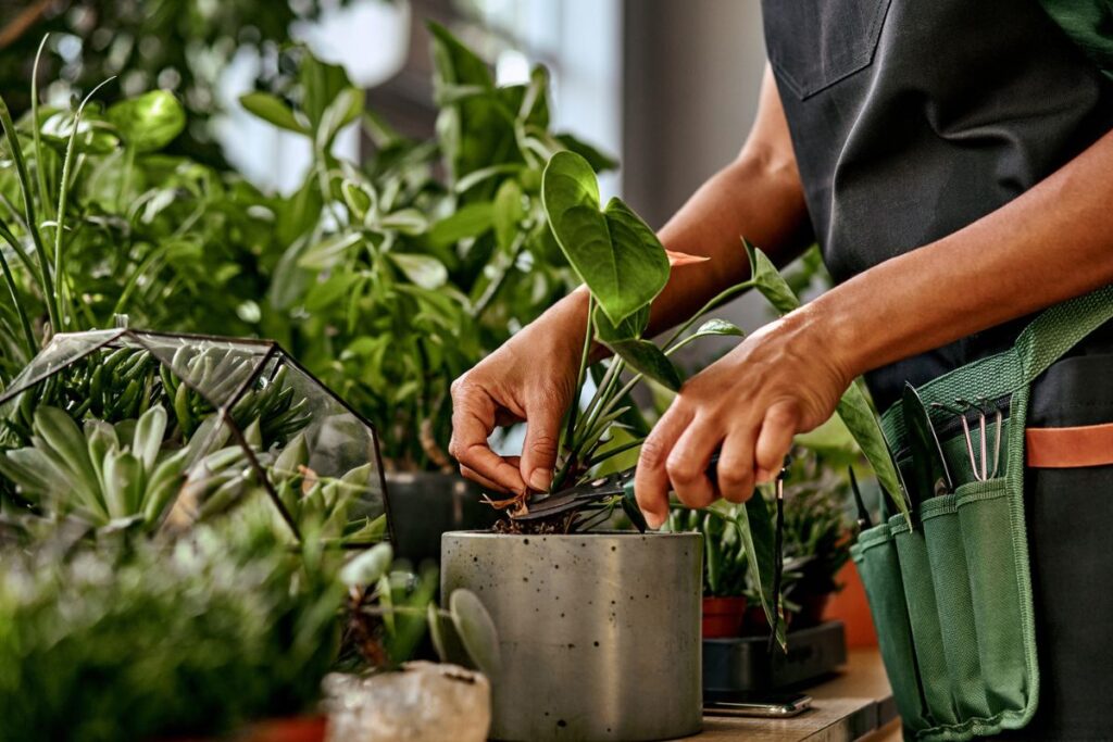 plantas-conversam?-saiba-como-elas-se-defendem-de-ameacas