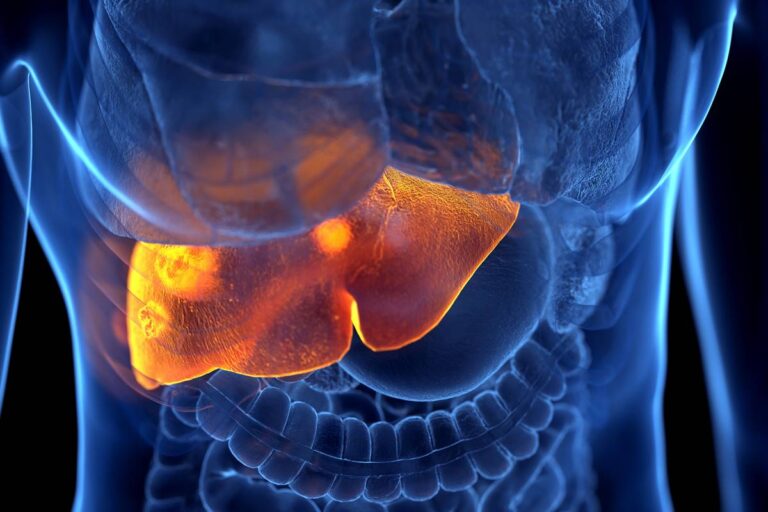5-principais-tipos-de-hepatites-virais-e-como-preveni-las