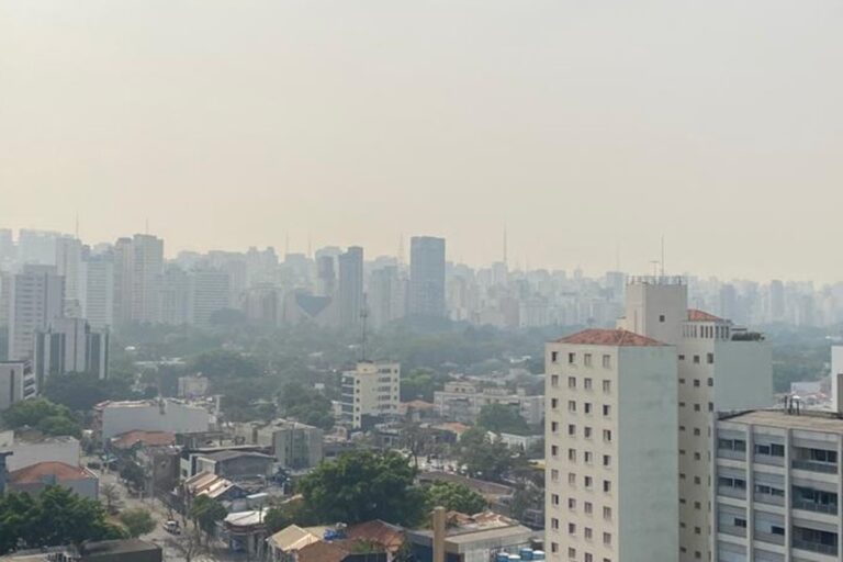 o-que-impede-o-brasil-de-promover-menos-impacto-ao-meio-ambiente?