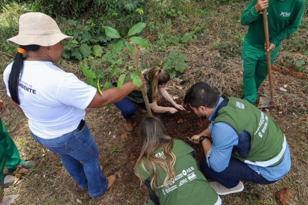 Governo do Acre e Prefeitura de Rio Branco firmam parceria para reforçar reflorestamento e preservação ambiental