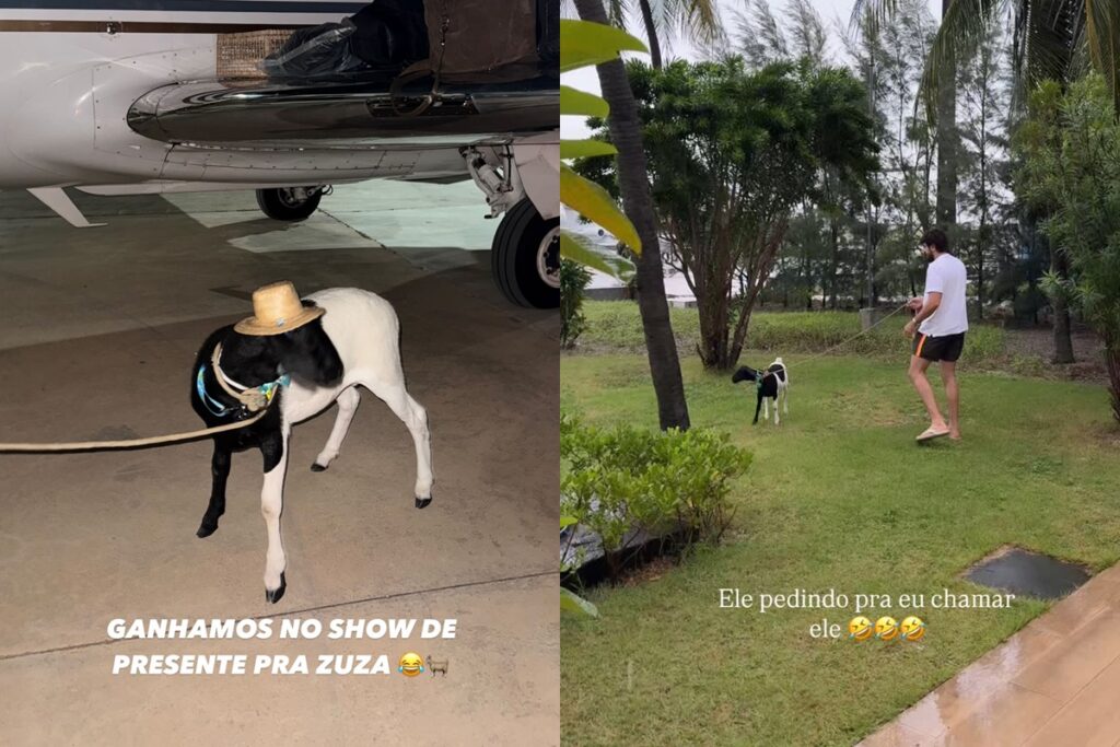 nattan-recebe-presente-inusitado-em-show-e-surpreende-rafa-kalimann