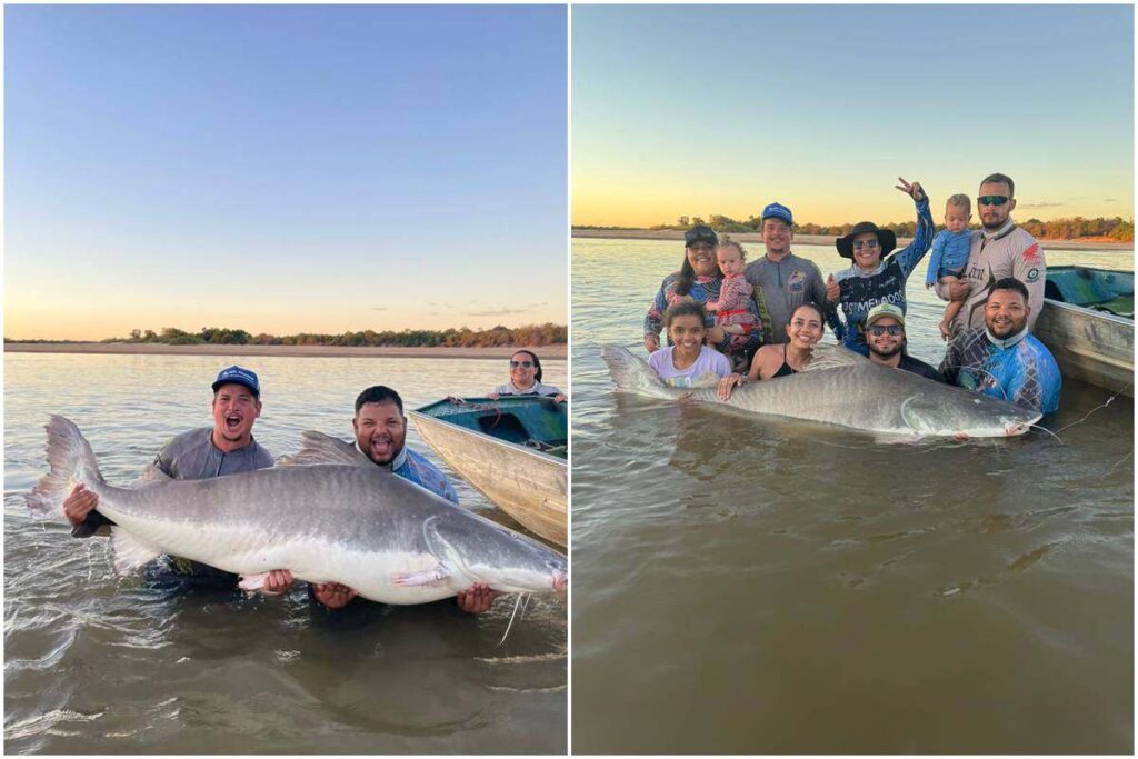 homem-fisga-“rainha-do-araguaia”,-com-2,06-metros-e-100-kg.-video