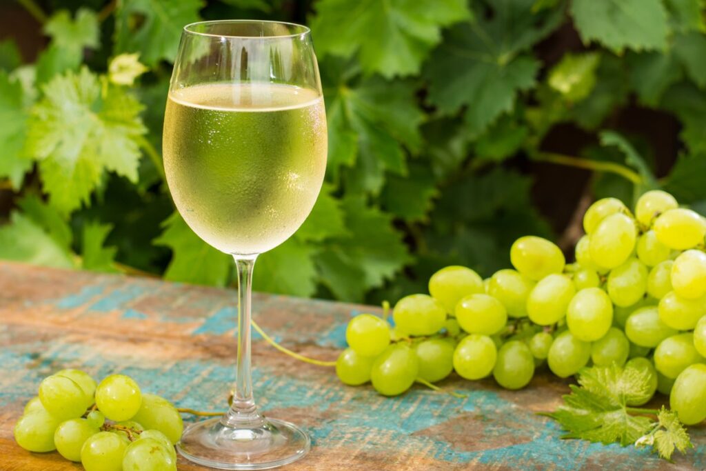 vinho-faz-bem-ou-mal?-saiba-o-que-a-ciencia-diz-sobre-a-bebida-popular