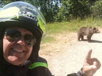 turista-italiano-e-atacado-por-urso-na-romenia-ao-tentar-alimentar-filhote-e-registra-o-momento