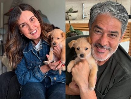 bruce-william:-filha-de-bonner-e-fatima-bernardes-adota-cao-e-pais-celebram-nas-redes