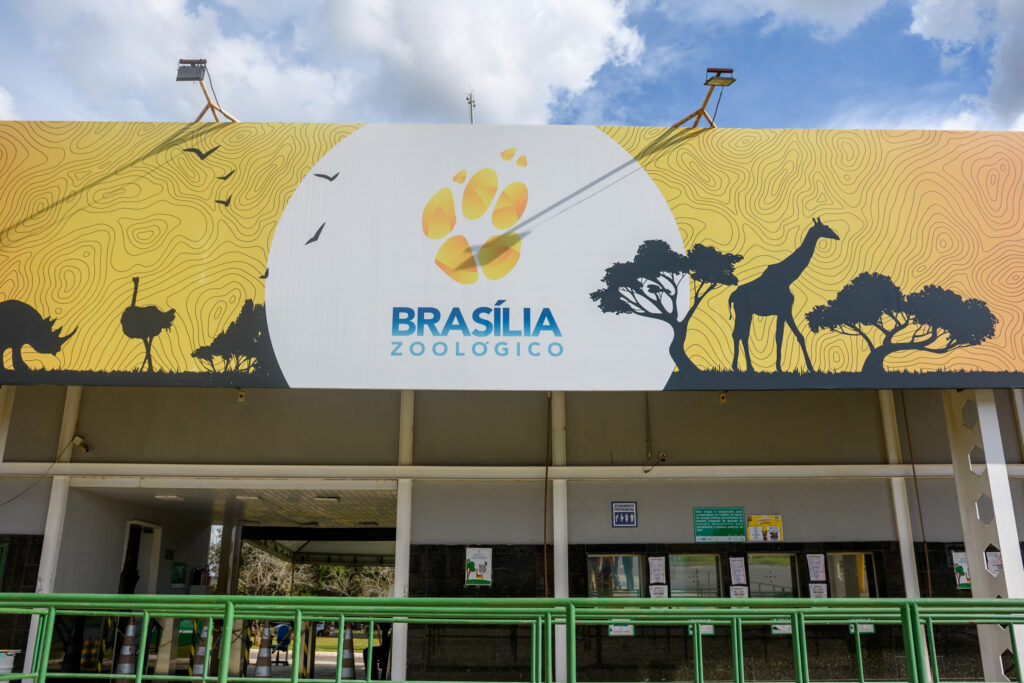 apos-um-mes-fechado,-zoologico-de-brasilia-reabre-nesta-segunda-(7/7)