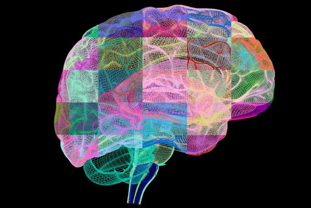 alzheimer-pode-seguir-quatro-caminhos-distintos,-mostra-estudo
