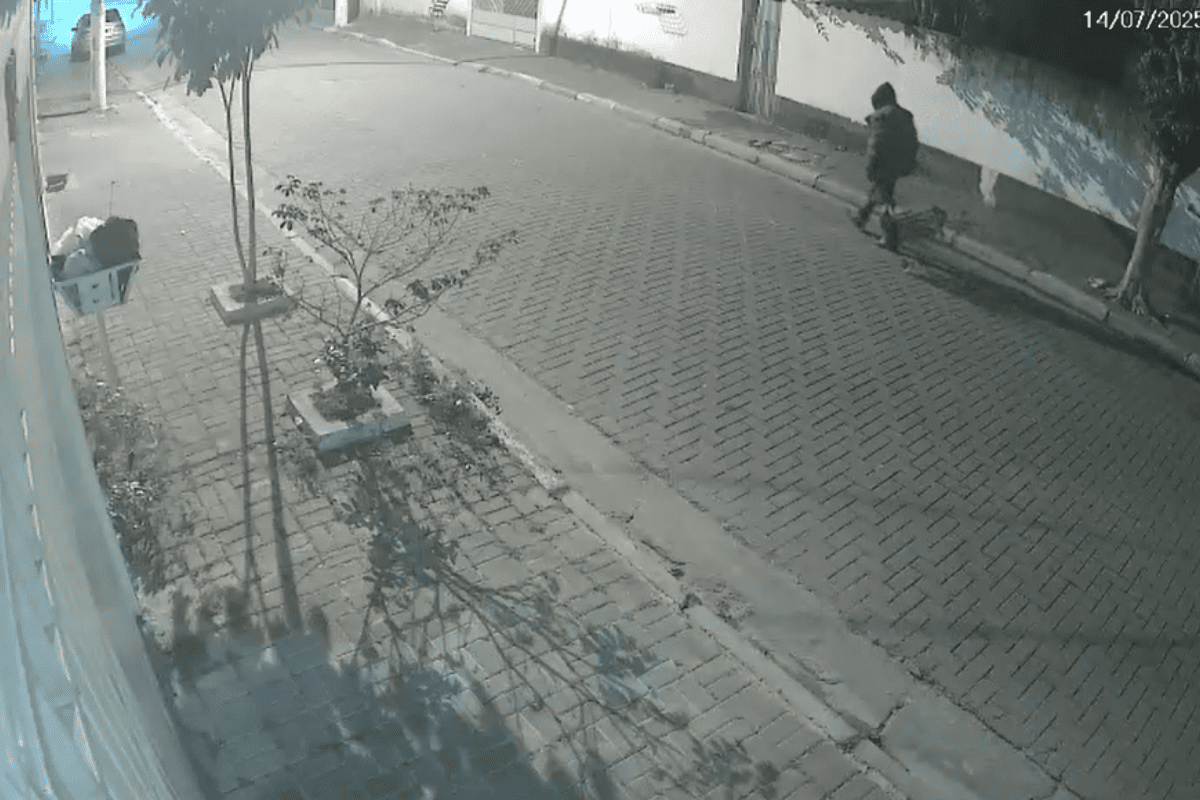 Suspeito é flagrado carregando corpo de mulher achada em lixeira. Veja