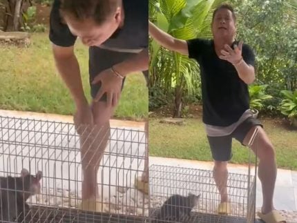 leonardo-diverte-seguidores-com-“venda”-de-sarue:-“quem-ai-quer-um-pinscher-puro?”