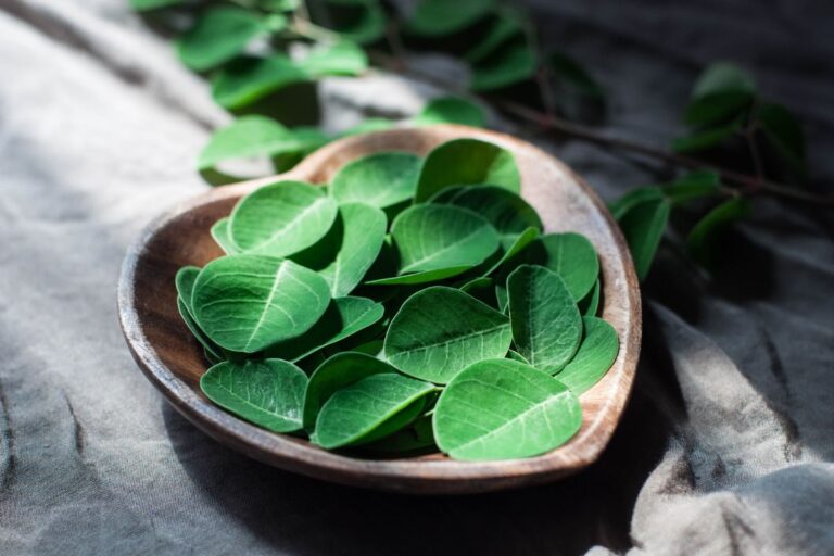 pancs:-confira-3-opcoes-para-cultivar-em-casa-e-incluir-na-dieta