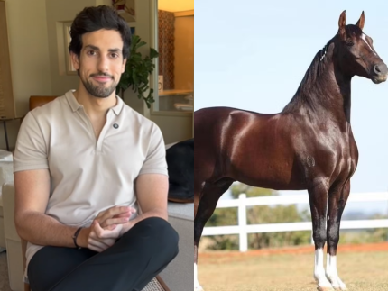 cavalo-de-r$-12-milhoes-morre-apos-comer-racao-contaminada-por-erro-de-fabrica