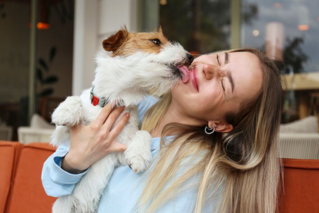 entenda-diferenca-entre-pets-para-suporte-emocional,-terapia-e-servico