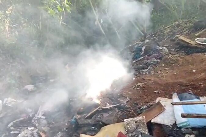 video:-funcionarios-acham-2-corpos-recem-carbonizados-em-parque-de-sp