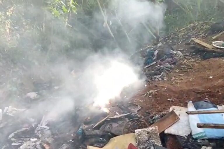 video:-funcionarios-acham-2-corpos-recem-carbonizados-em-parque-de-sp