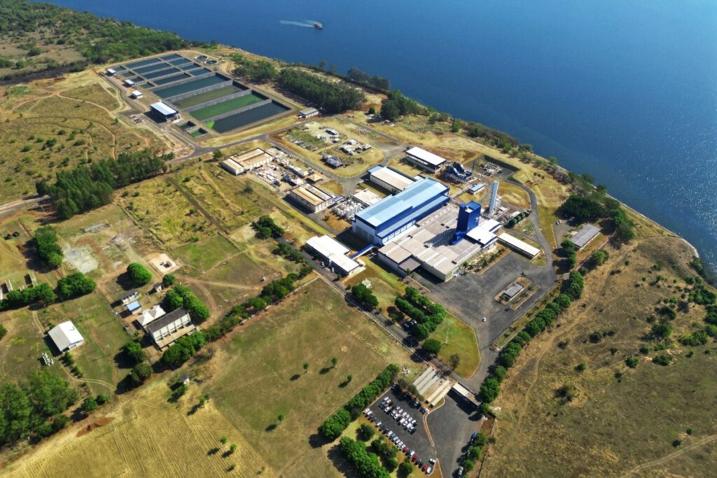 com-“super-colageno”,-jbs-entra-no-mercado-de-suplementos-alimentares