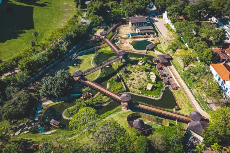 bioparque-do-rj-fecha-temporariamente-apos-morte-de-galinhas-d’angola