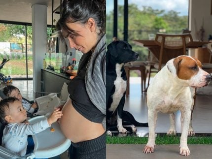 influenciadora-gravida-tira-pitbulls-de-estimacao-de-casa-apos-8-anos-com-eles