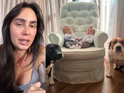 influenciadora-gravida-diz-o-que-fara-com-pitbulls-de-estimacao-apos-tira-los-de-casa