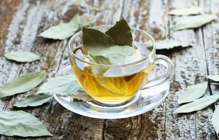 cha-de-folha-de-louro:-e-digestivo-e-ajuda-no-controle-de-glicemia
