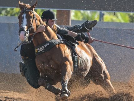 monte-siao-haras-se-destaca-com-inquestionavel-e-lidera-torneio-de-vaquejada-do-brasil