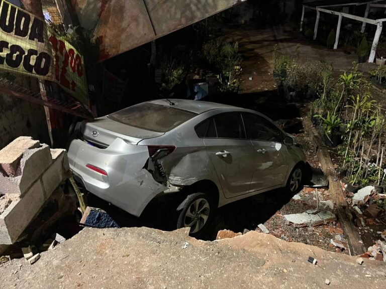 carro-desgovernado-derruba-muro-e-invade-floricultura-no-df.-video