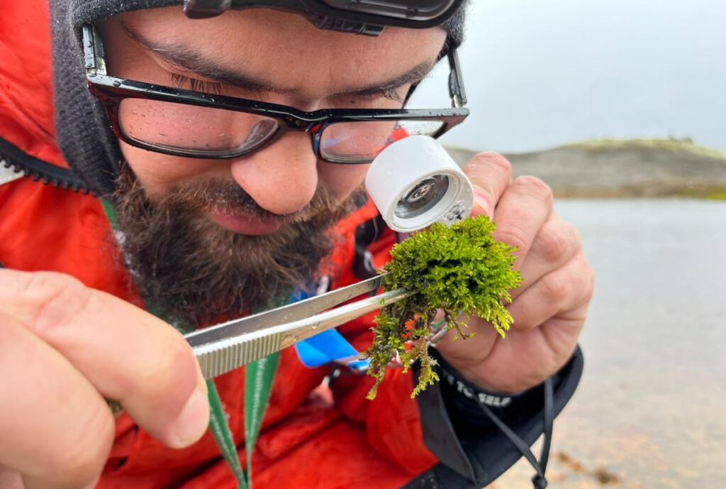 as-plantas-com-potencial-para-tratar-cancer-e-melhorar-agricultura