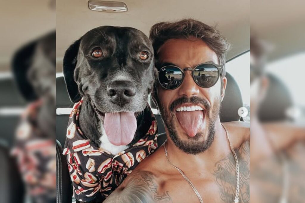 caes-enviados-a-hotel-por-ex-de-ferias-com-ex-atacaram-pintor-no-df