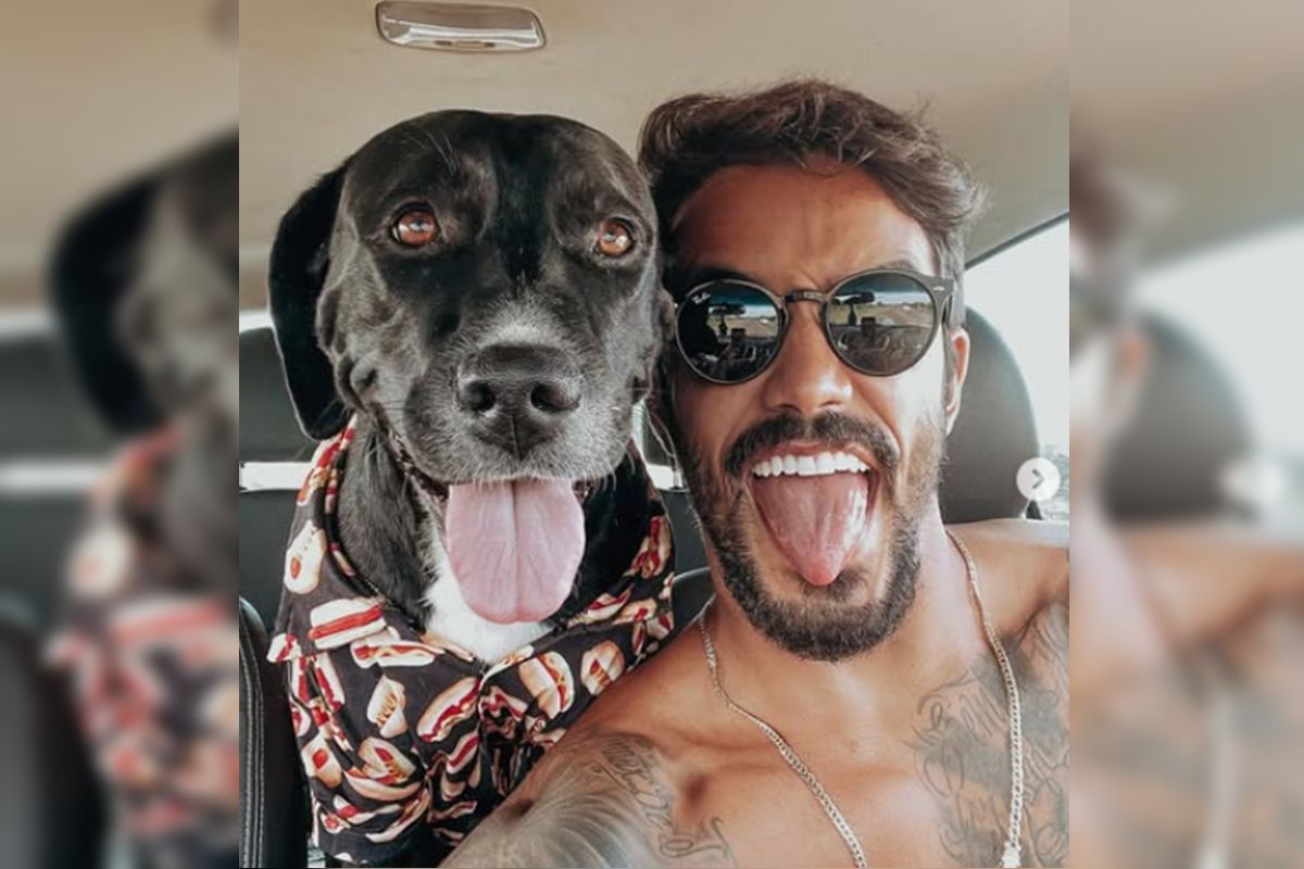 caes-enviados-a-hotel-por-ex-de-ferias-com-ex-atacaram-pintor-no-df