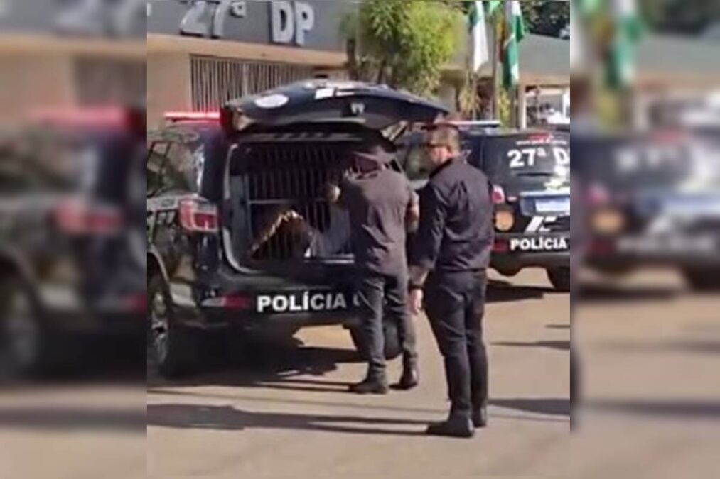 Pedófilo preso no DF atraía crianças via redes sociais e jogos online