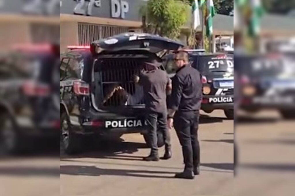 pedofilo-preso-no-df-atraia-criancas-via-redes-sociais-e-jogos-online