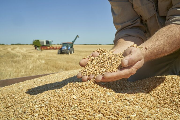 pais-consegue-produzir-todos-os-alimentos-dos-quais-precisa.-entenda