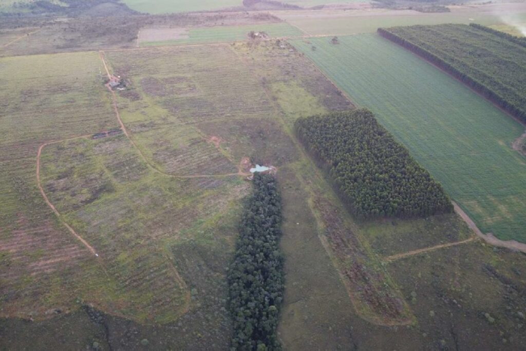 mpgo-fecha-acordos-para-2.630-hectares-de-area-preservada-no-entorno