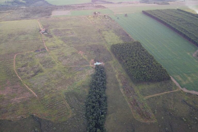 mpgo-fecha-acordos-para-2.630-hectares-de-area-preservada-no-entorno
