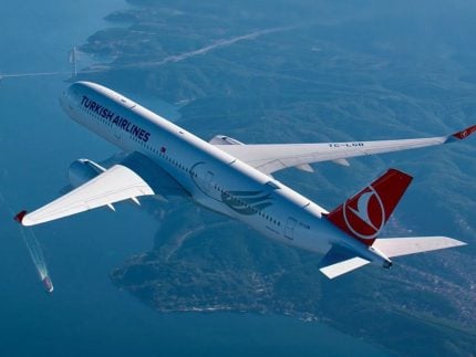 homem-morre-durante-voo-da-turquia-para-os-eua-e-corpo-desaparece-apos-pouso