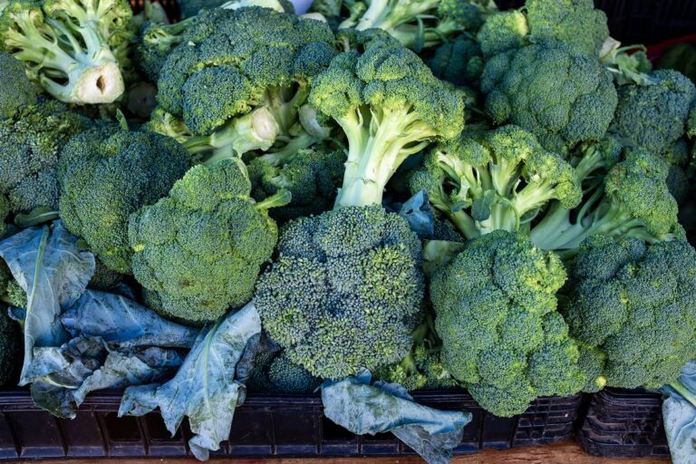 nutricionista-esclarece-qual-o-melhor-tipo-de-brocolis-para-a-saude