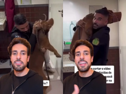 nada-de-sedacao:-veterinario-cria-metodo-humanizado-para-caes-dificeis