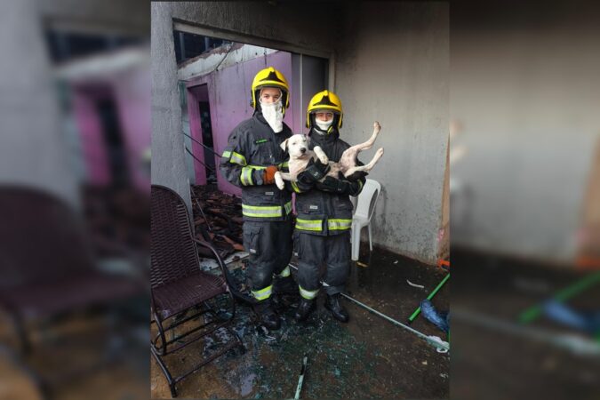 bombeiros-resgatam-cachorros-durante-incendio-em-casa-no-entorno-do-df