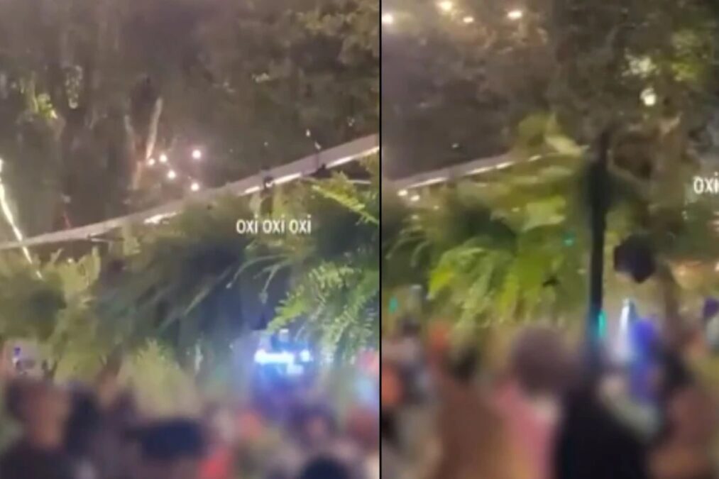 Público furta 500 samambaias em festa e causa prejuízo de R$ 7 mil