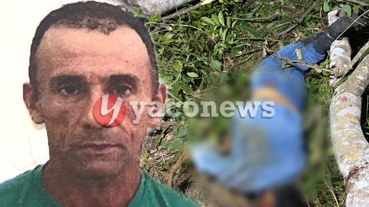 Trabalhador morre após cair de árvore de 20 metros na zona rural de Rio Branco